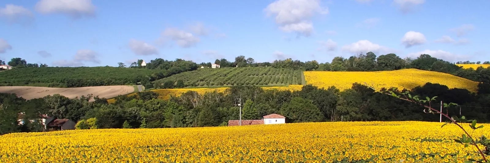Gîtes en chambre d'hôtes Lencouet, Zuidwest Frankr
