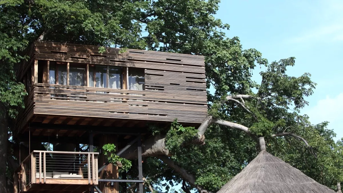 Baobab suite