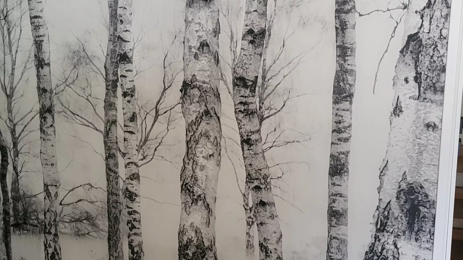 Birken Waldzimmer