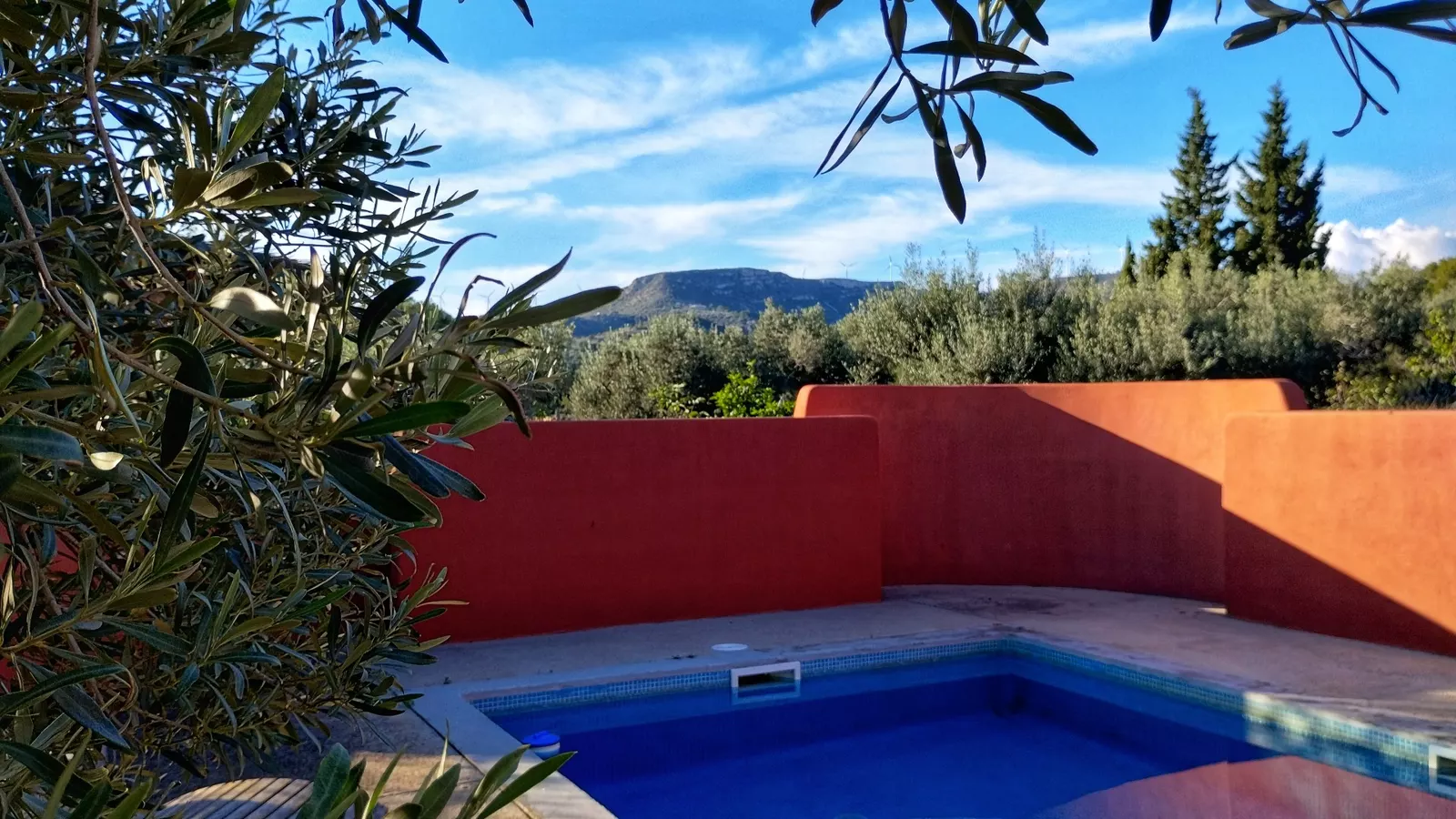 Olives i més