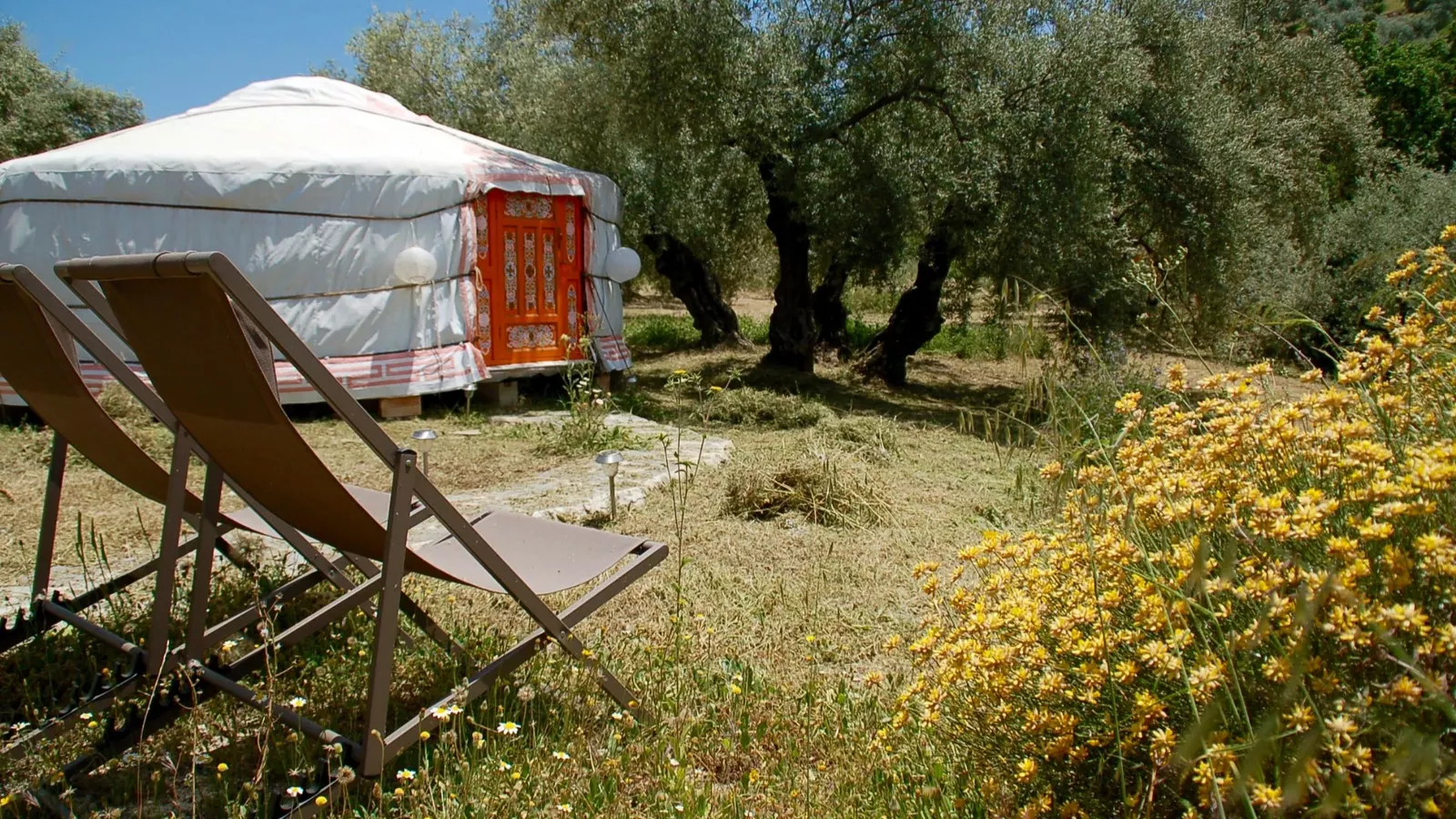 Yurta Oriental