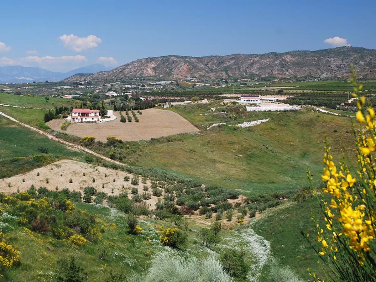 Finca de los Sueños