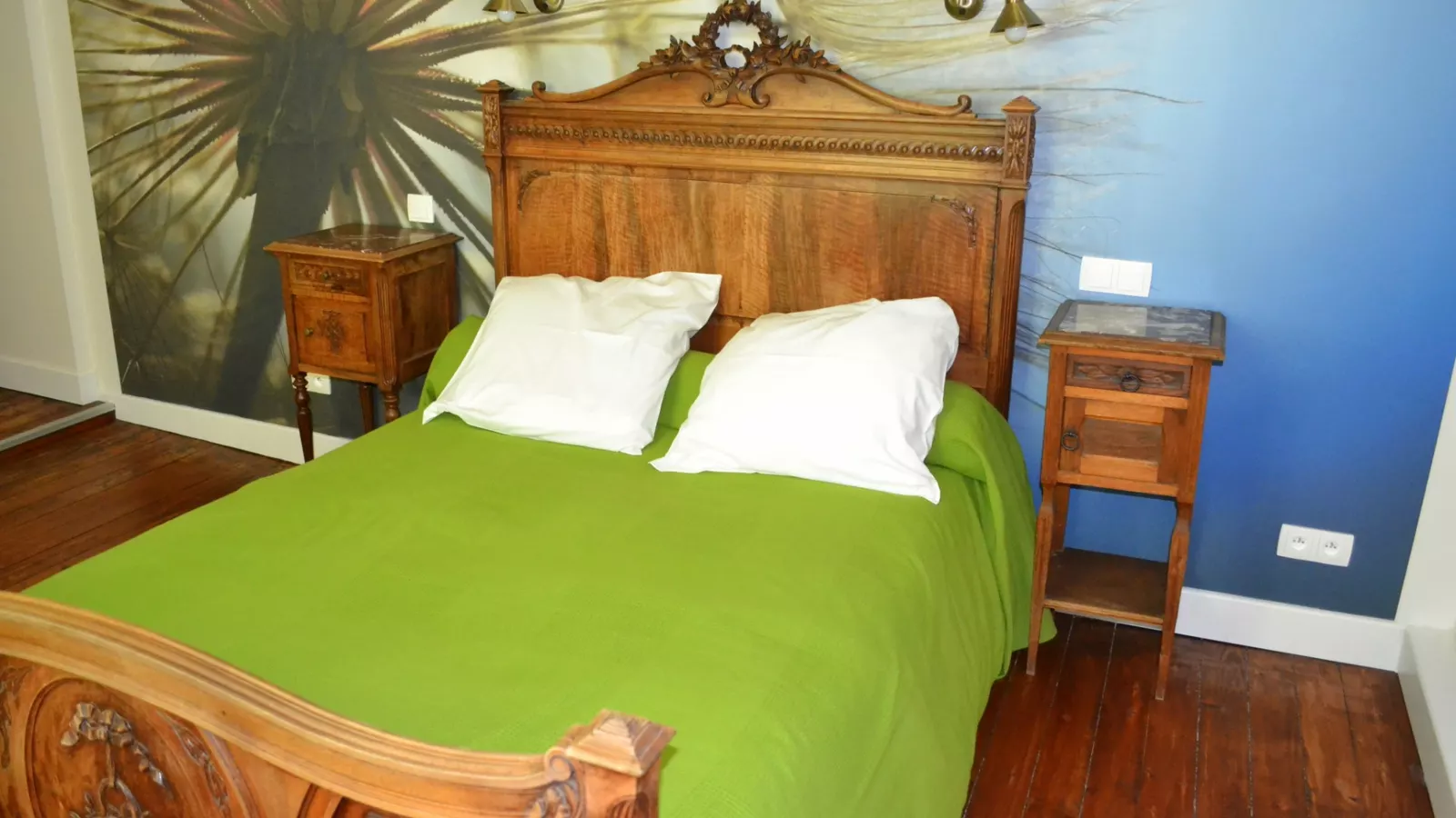 Kamer Braucol