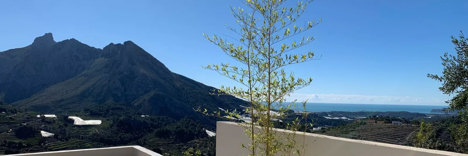 Finca Oliva - Bed and Breakfast - Hotel