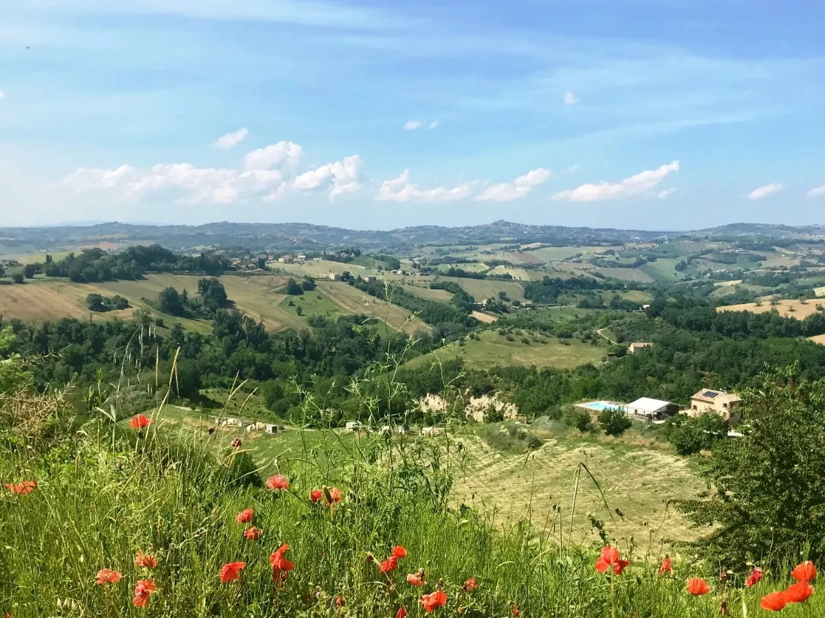 Agriturismo Unico Senso