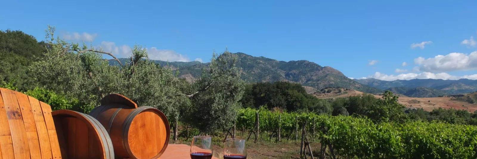 Tenuta Madonnina