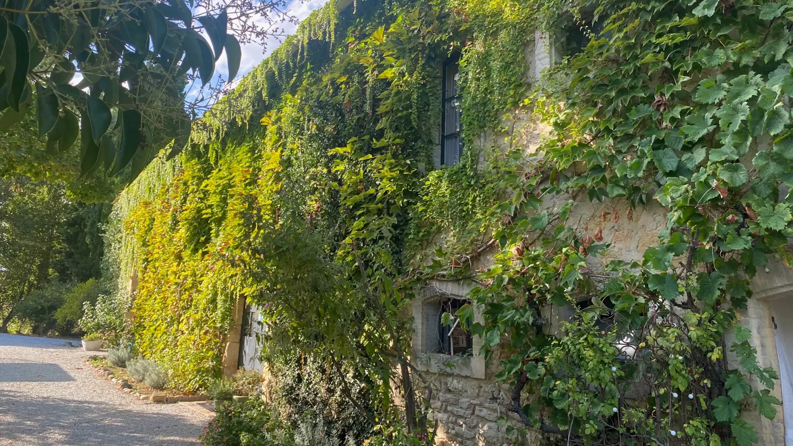 Domaine en Birbes