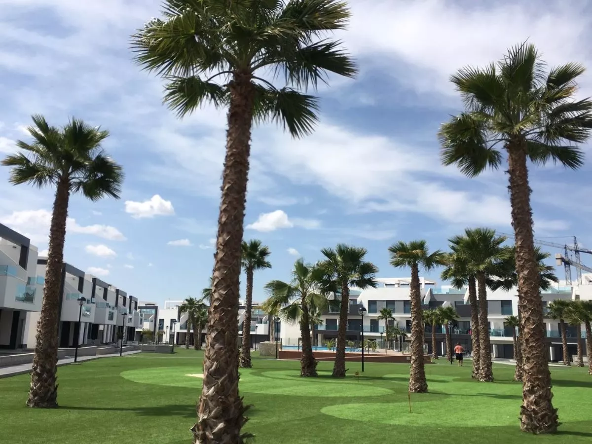 EL RASO - Guardamar (Alicante)