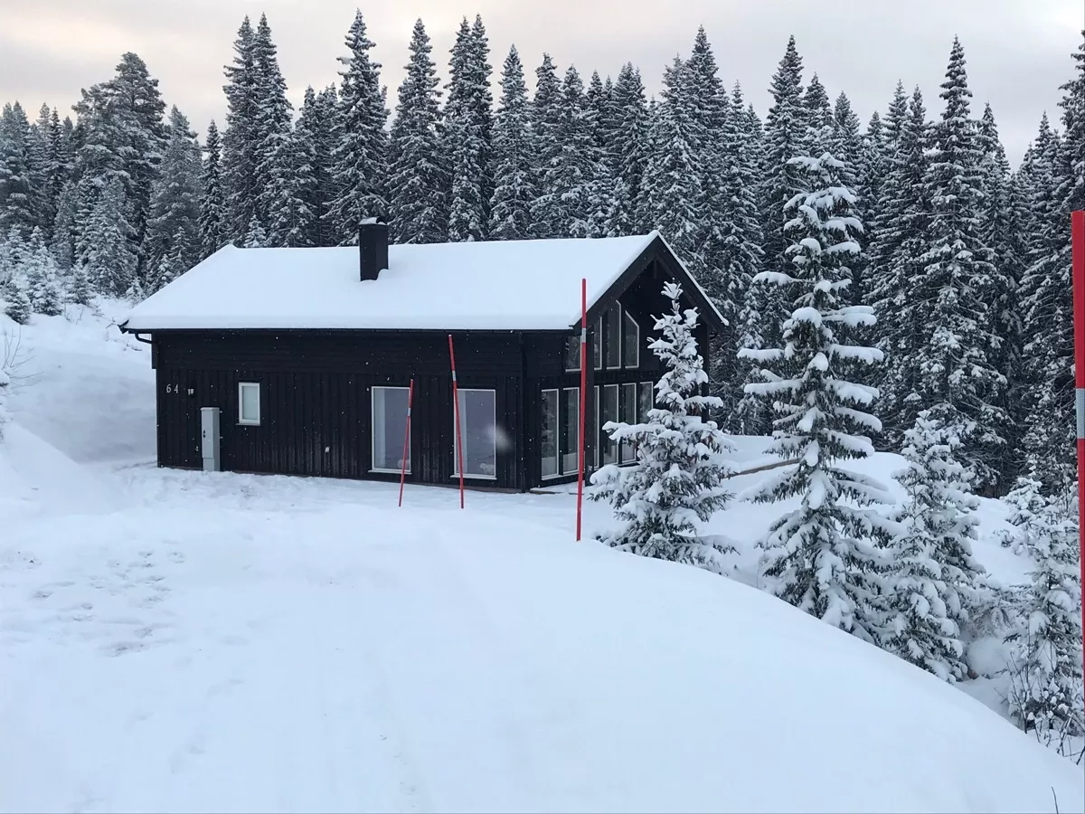 Lillebjørn