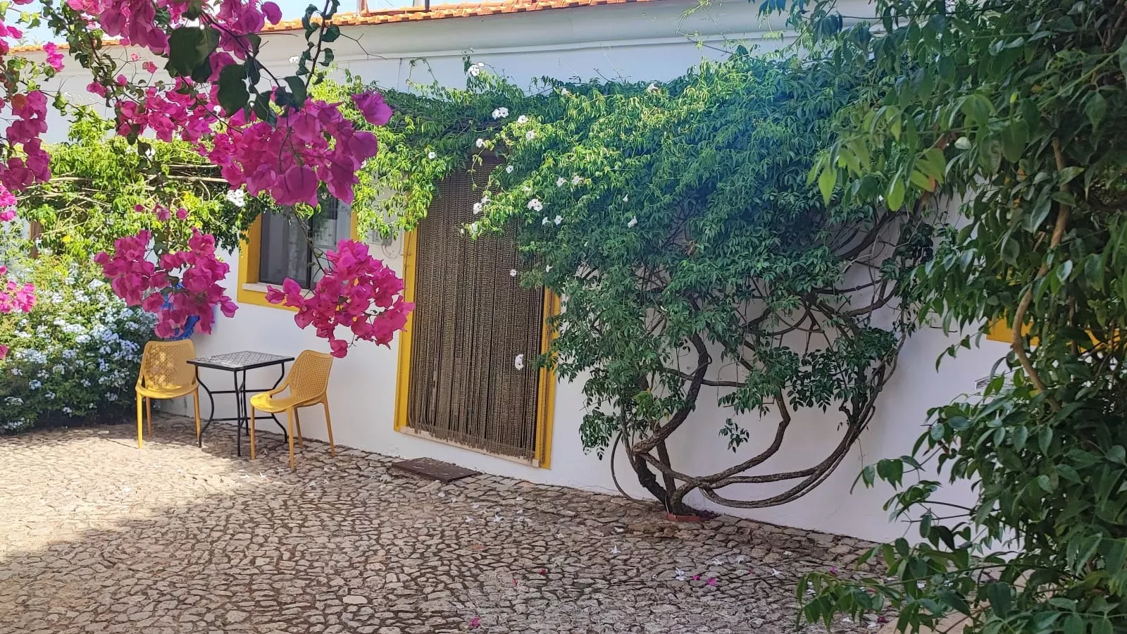 Casa Amy
