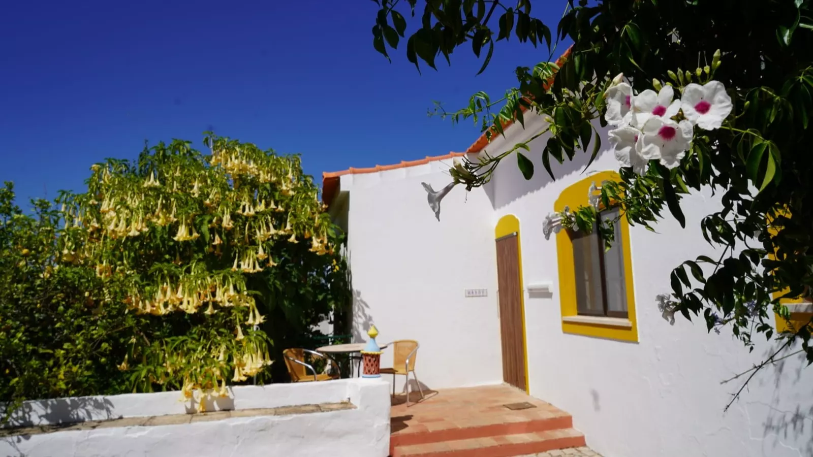 Casa Mandy