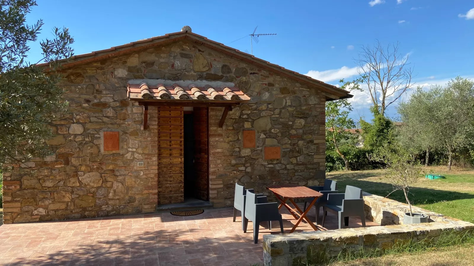 Il Tulipano