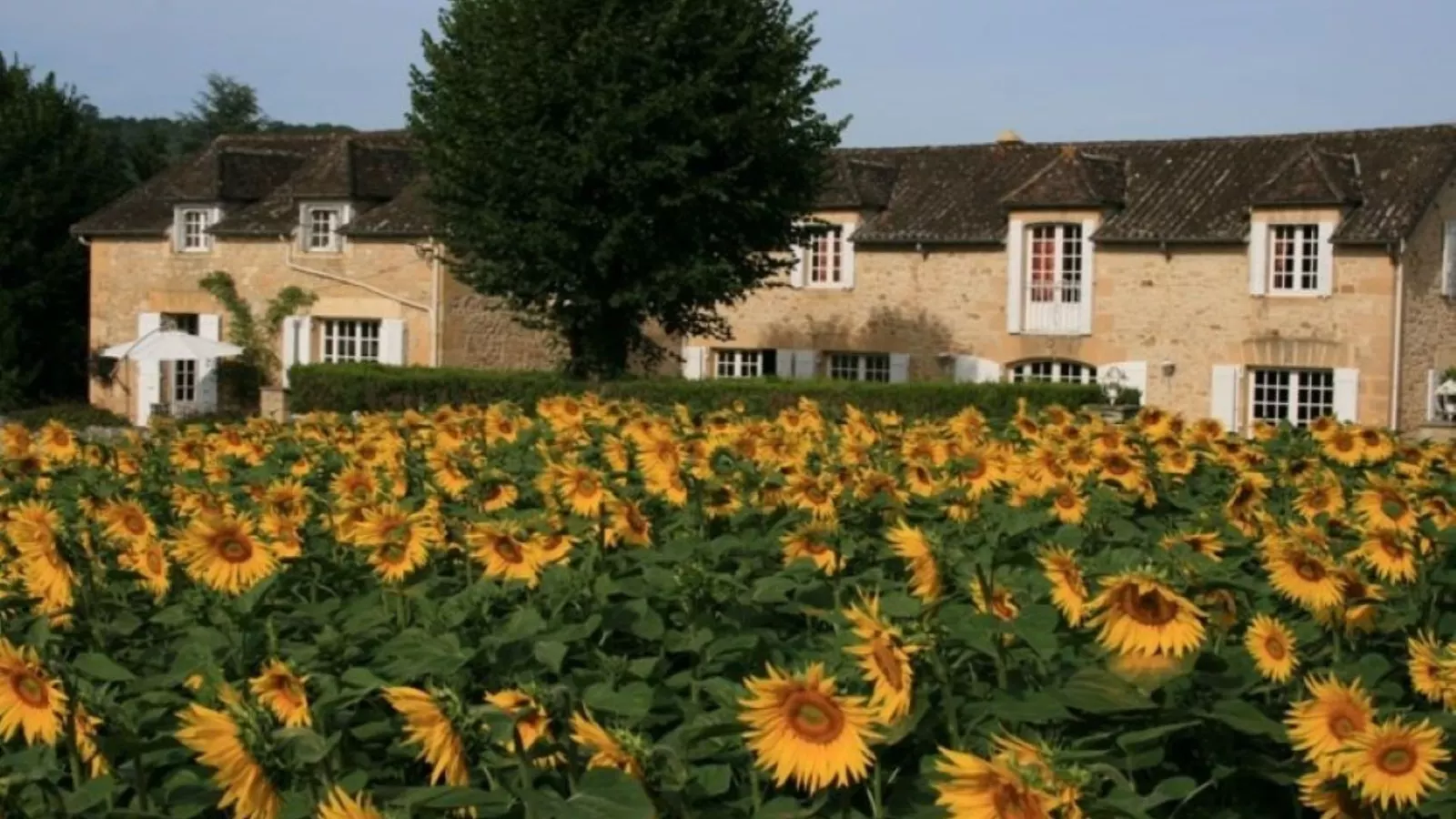 Domaine des Hirondelles