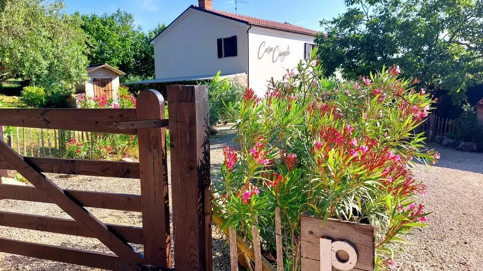 Casa Cingoli