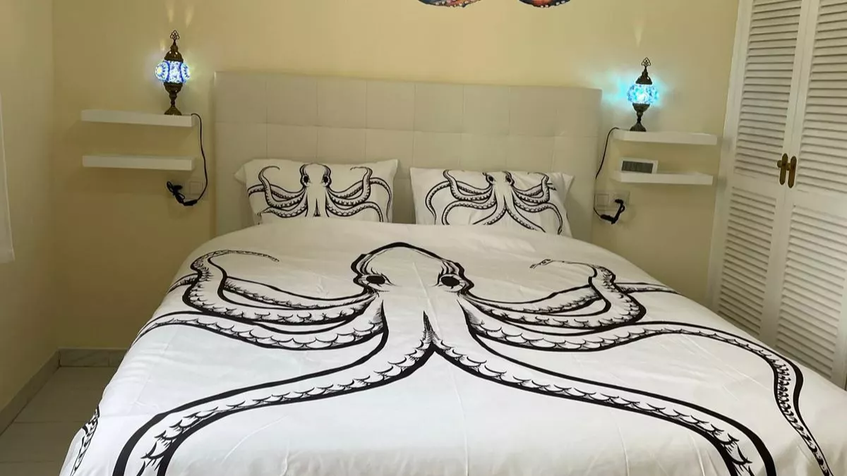 De Pulpo Kamer