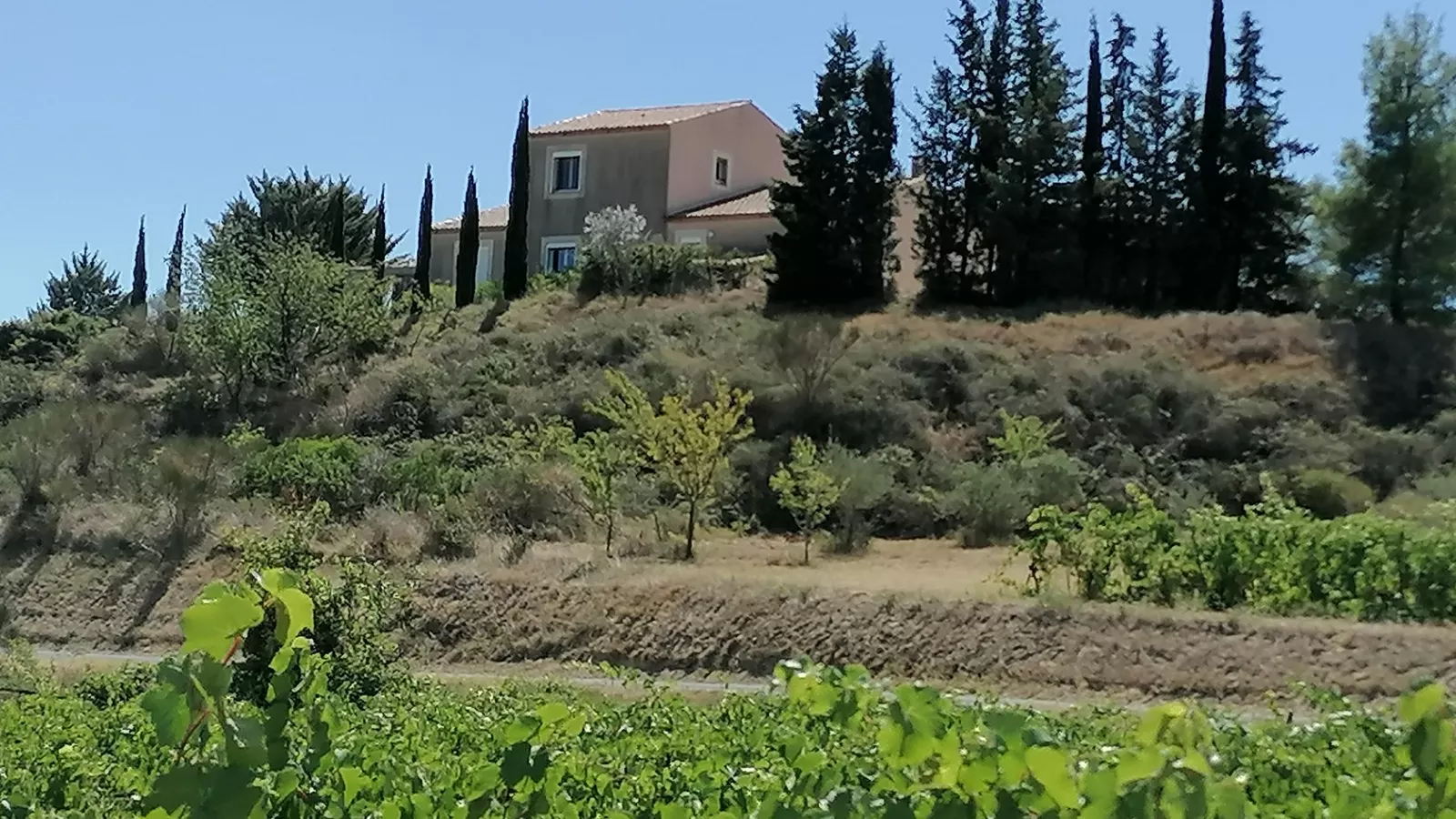 Villa Vue Vignobles
