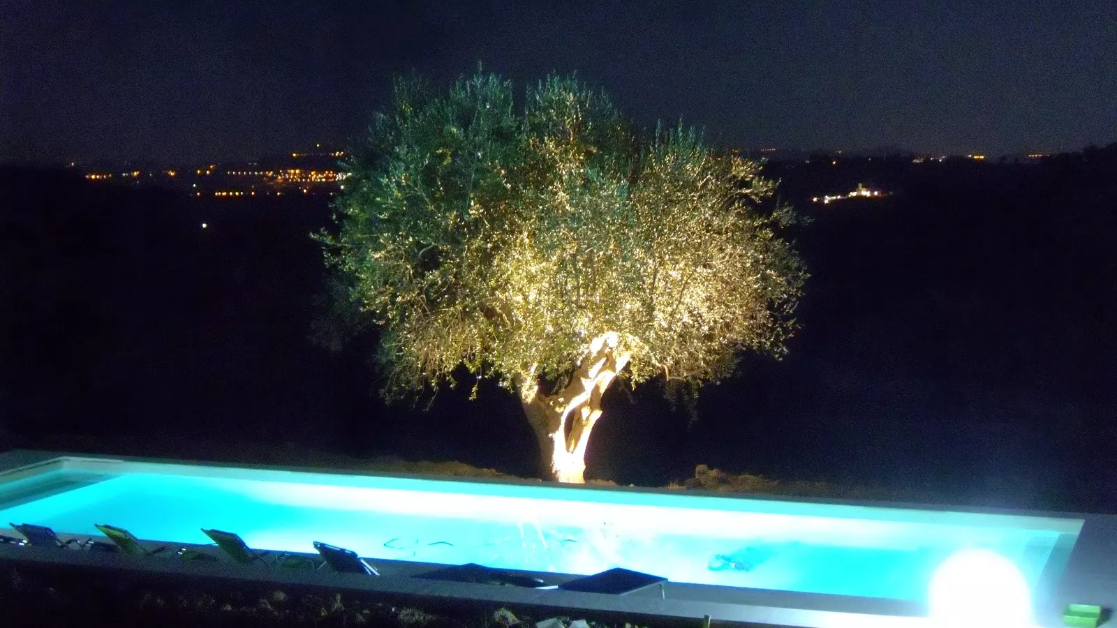 L'ULIVO D'ORO