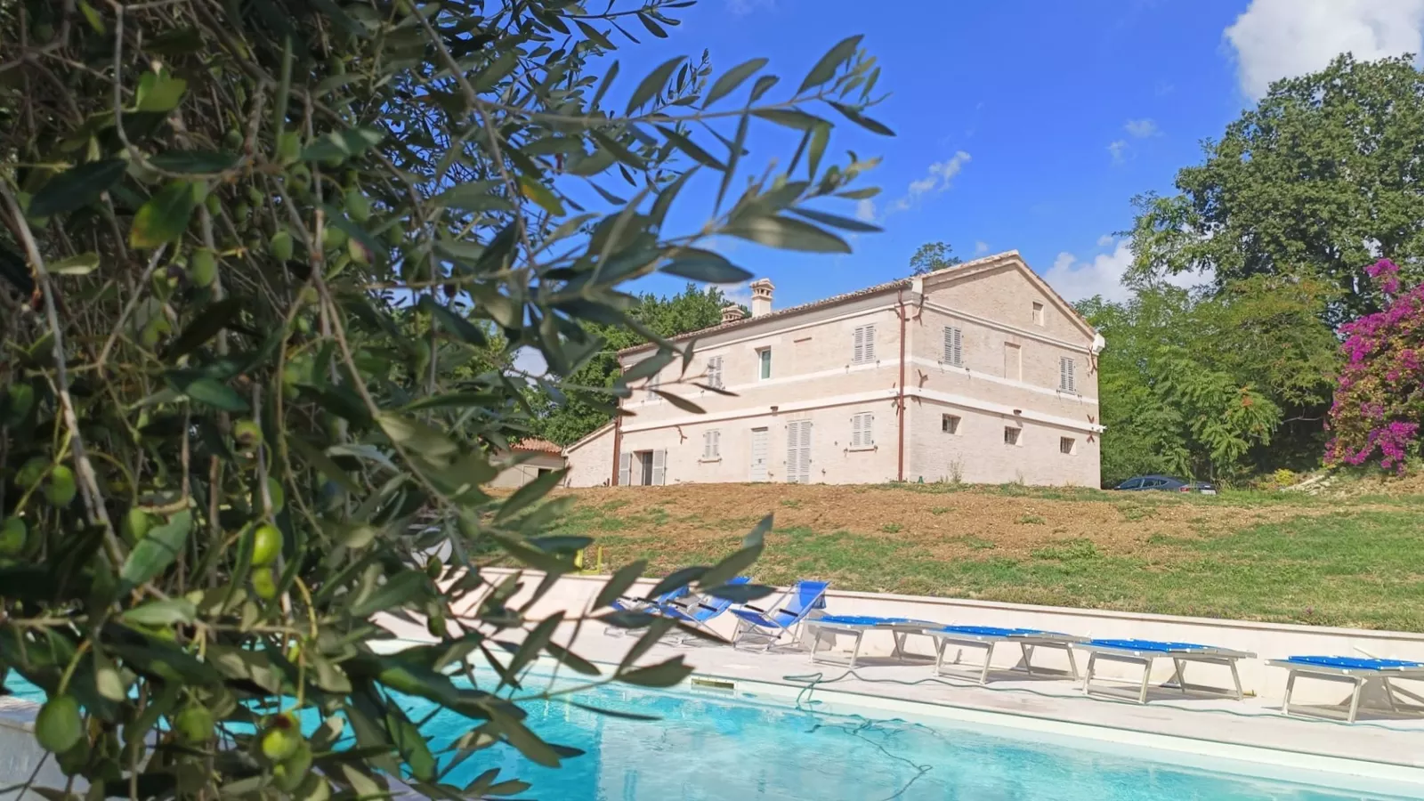 L'ULIVO D'ORO