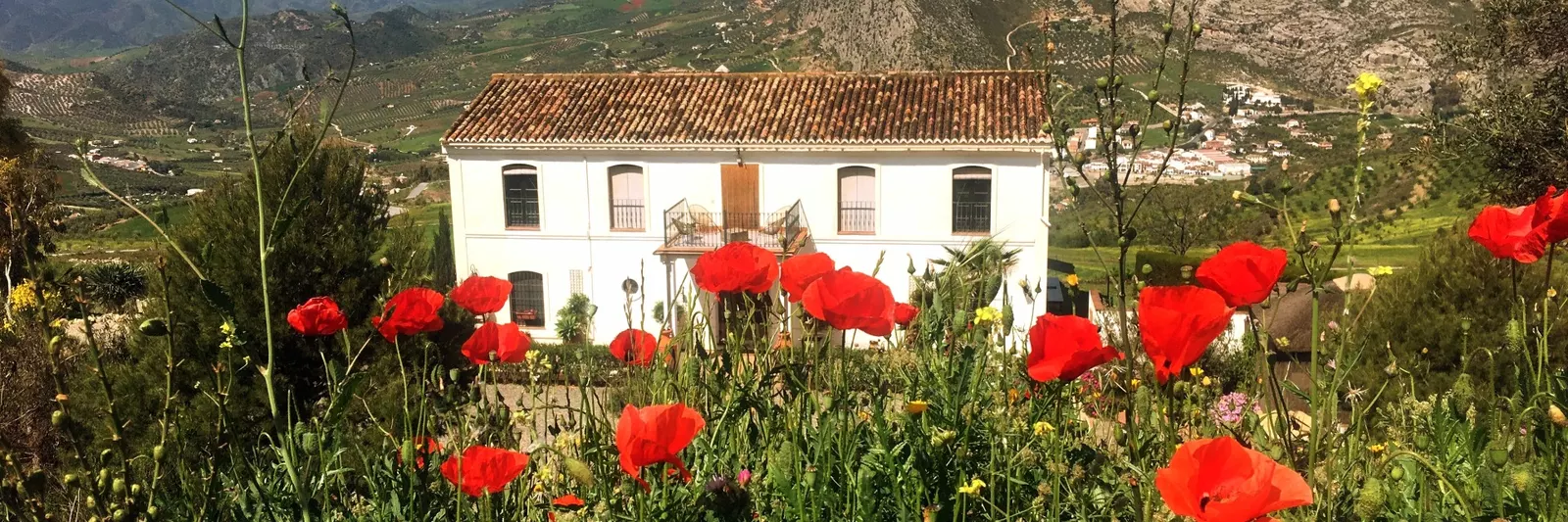 B&B La Sorpresa