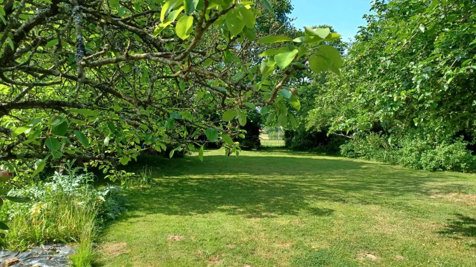 Gîte Belle & Gîte Aire