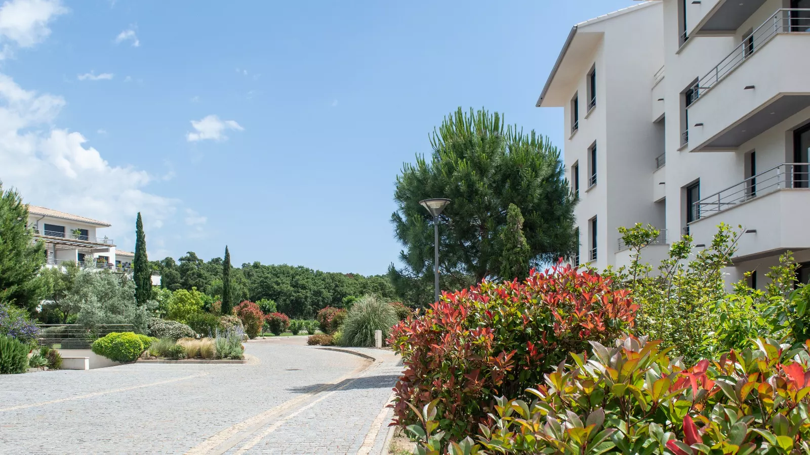 La Saveur du Sud