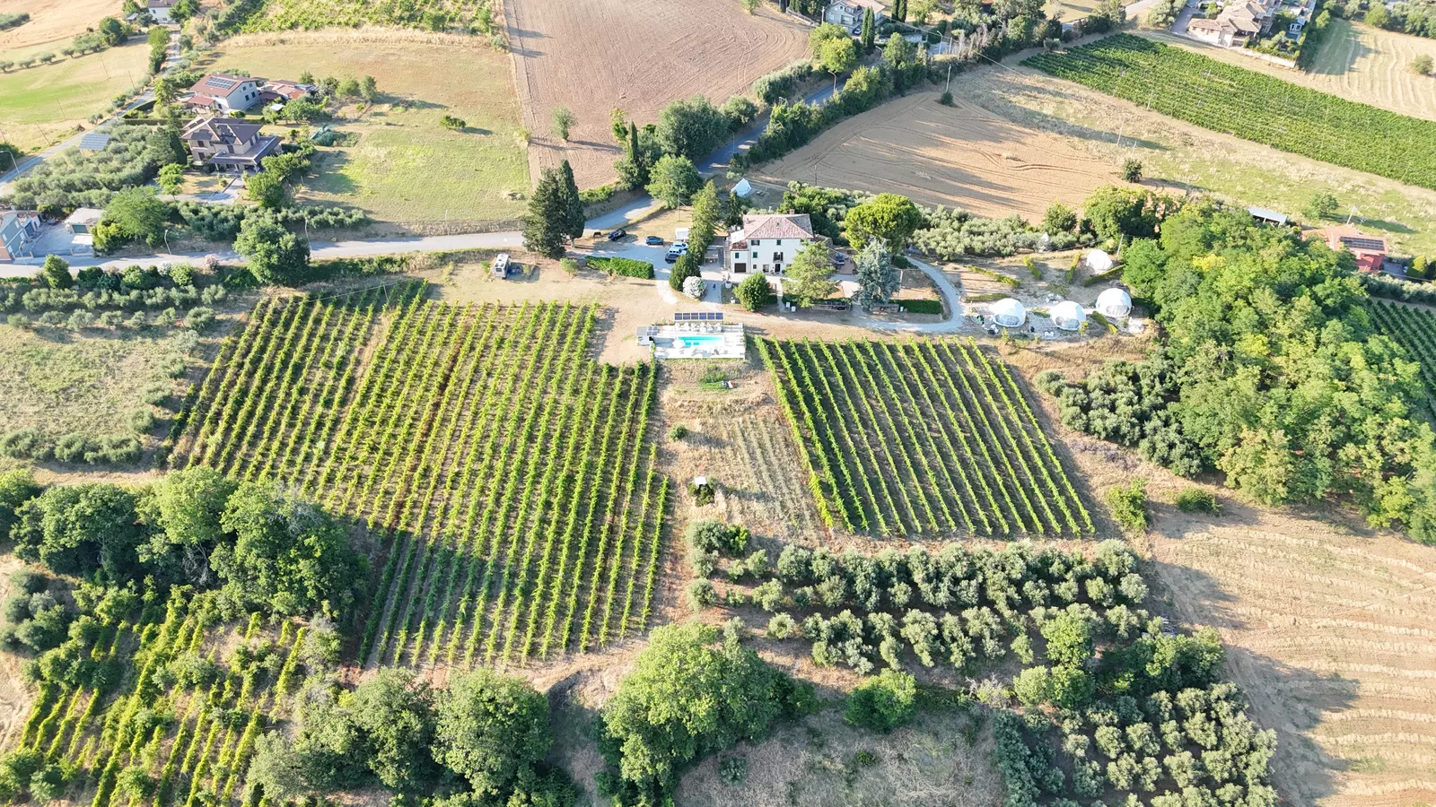 Villa Vicini