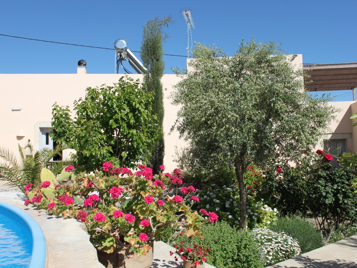 The Old Kafenion - B&B