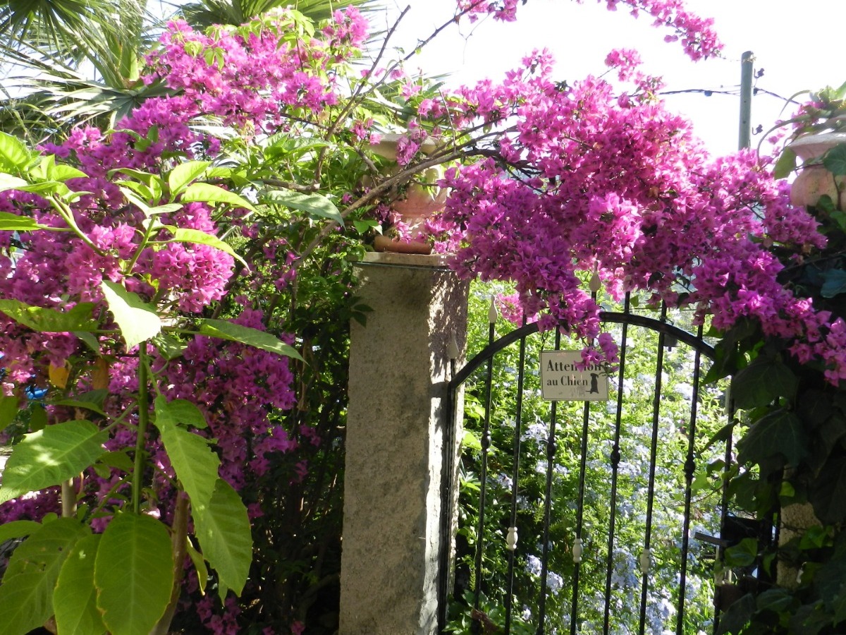 Villa Duygu