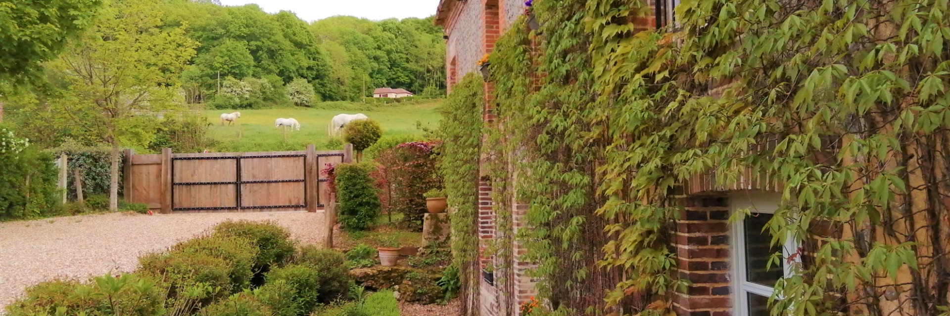 B&B Le Moulin de Sévoux