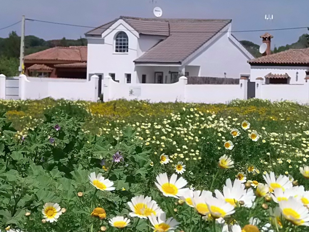 Casa Flamenco