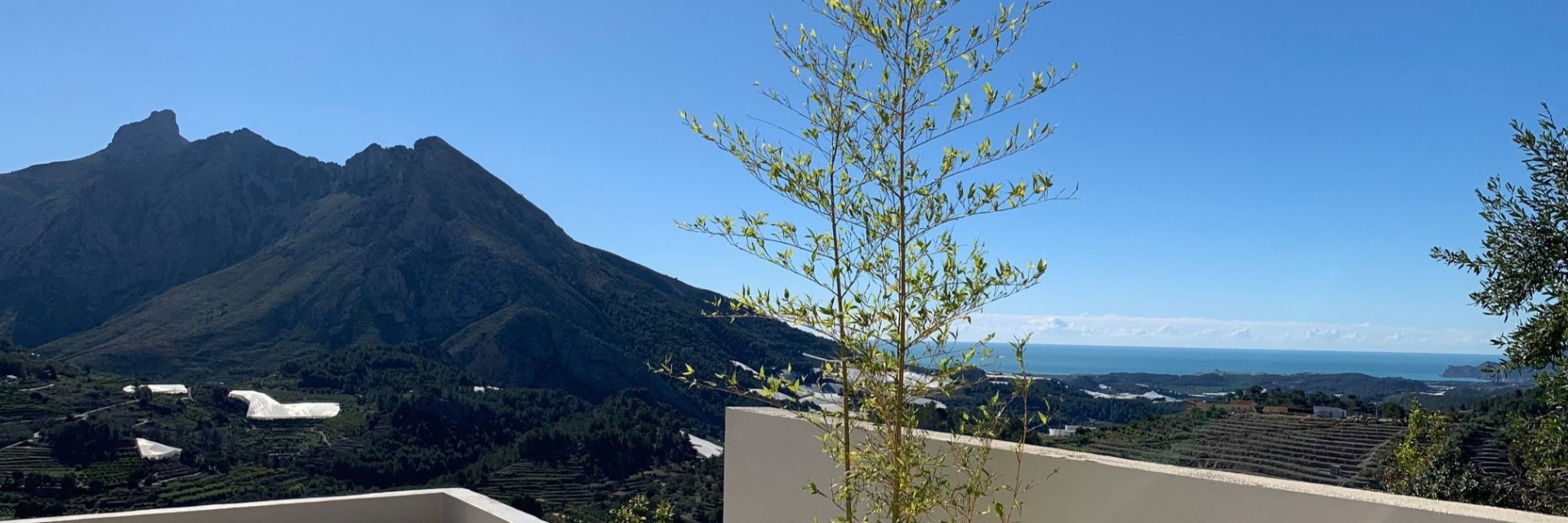 Finca Oliva - Bed and Breakfast - Hotel