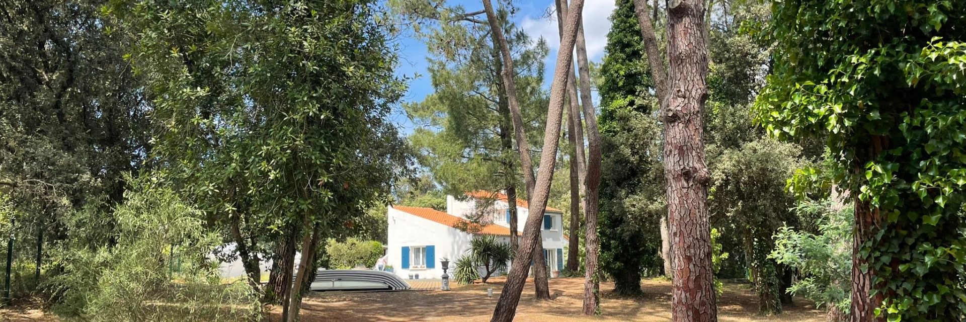 A l'abri des pins