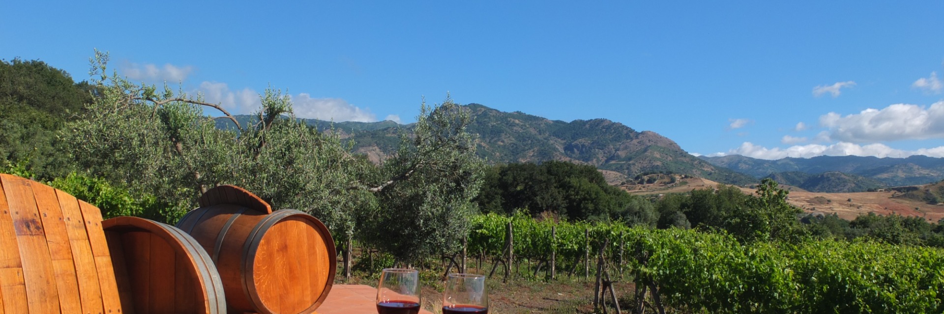 Tenuta Madonnina