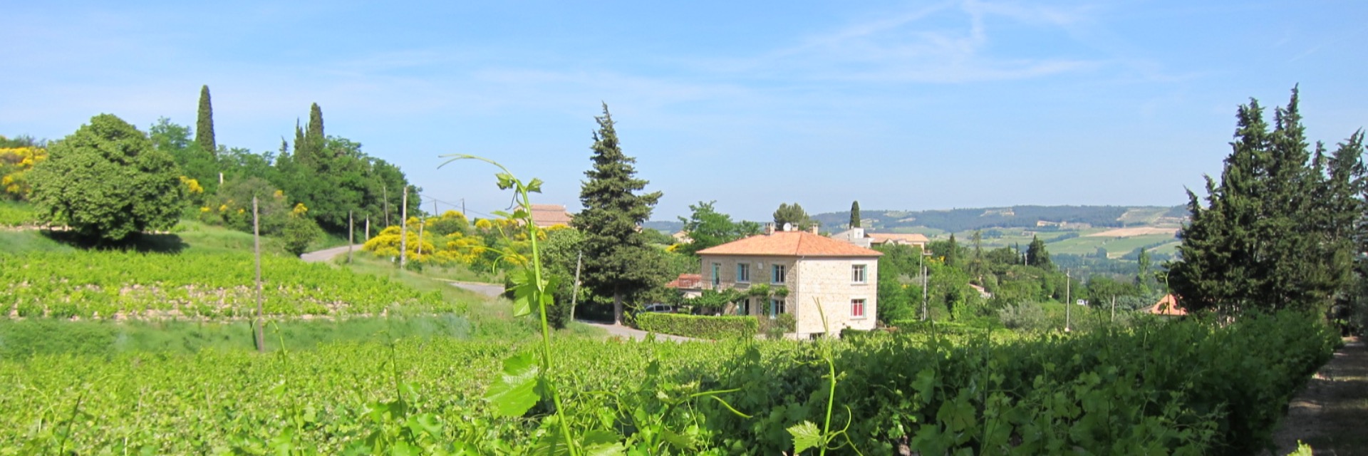 Chateau Carré