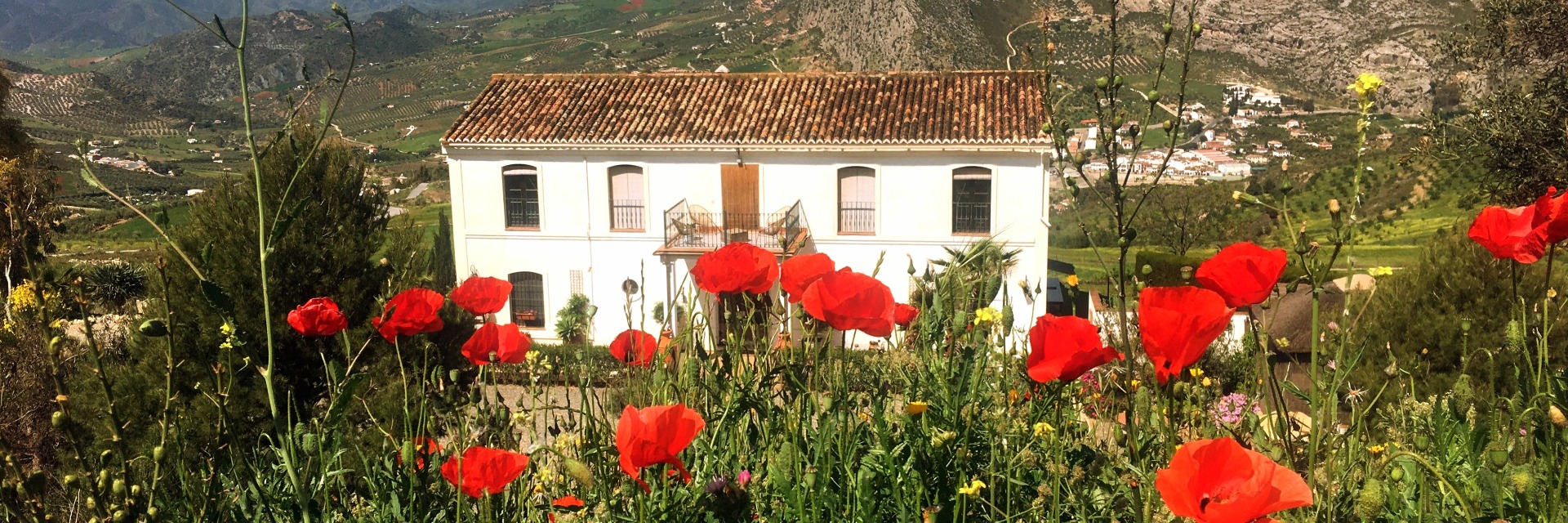 B&B La Sorpresa